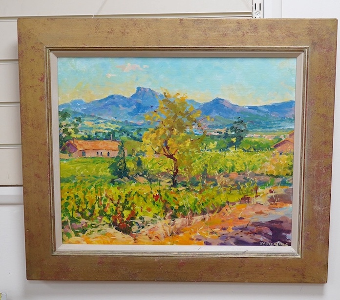 Julia Easterling (b.1941), oil on canvas, 'Vineyard at Carnoules, Provence', signed, 44 x 55cm. Condition - good